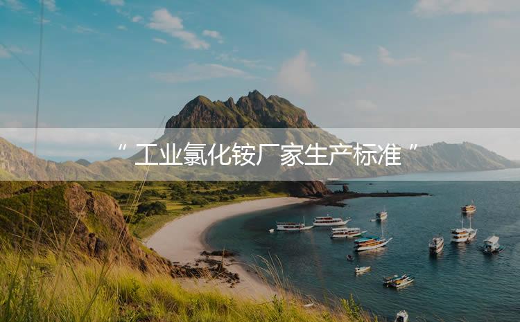 工業(yè)氯化銨廠家生產(chǎn)標(biāo)準(zhǔn)，生產(chǎn)過程進(jìn)行嚴(yán)密的監(jiān)控！