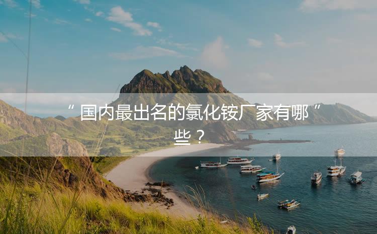 國(guó)內(nèi)最出名的氯化銨廠家有哪些？
